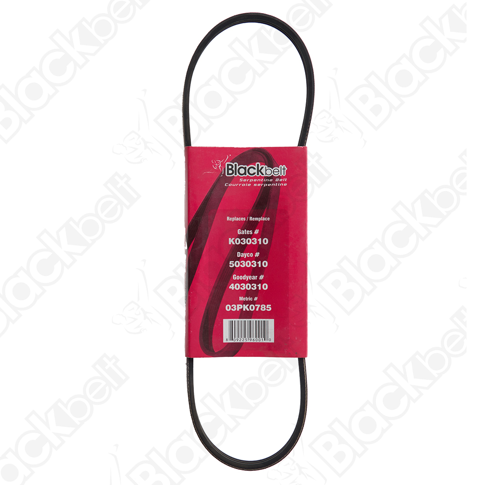 COURROIE SERPENTINE BLACK BELT - 2