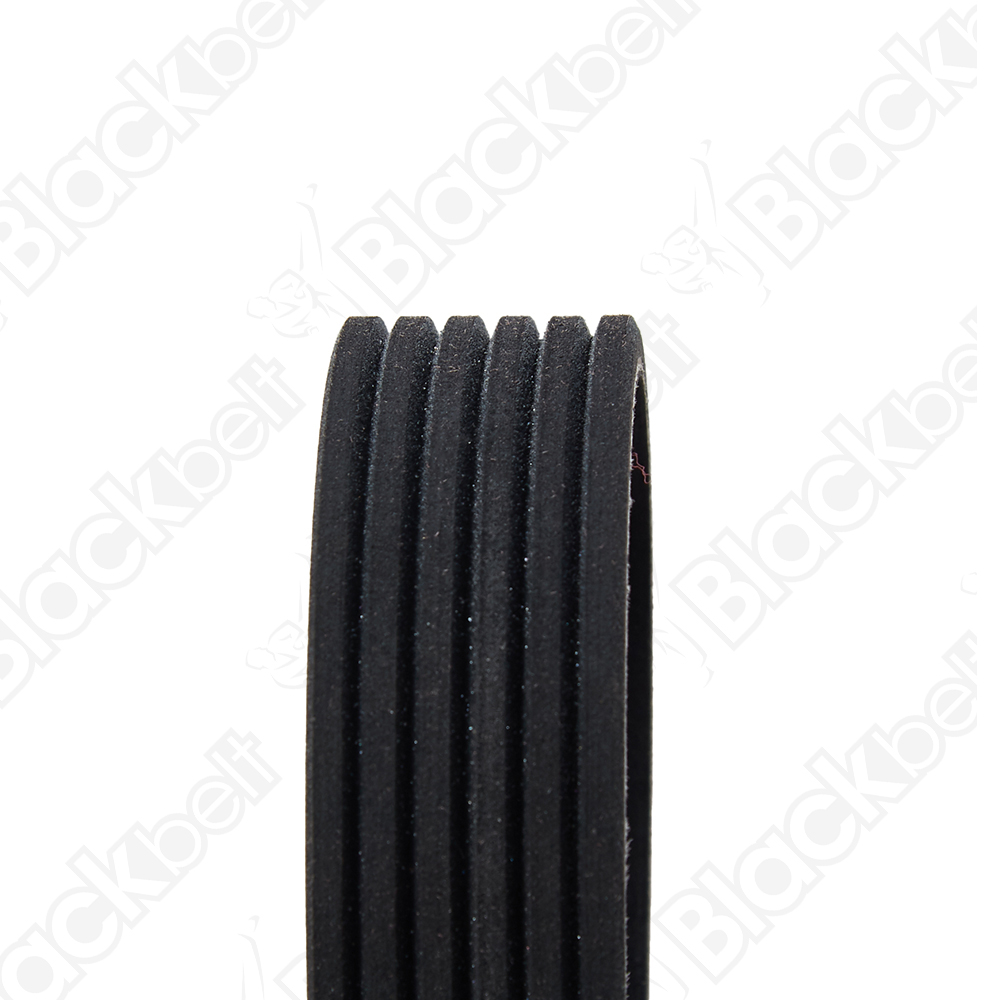 BLACKBELT SERPENTINE BELT - 2