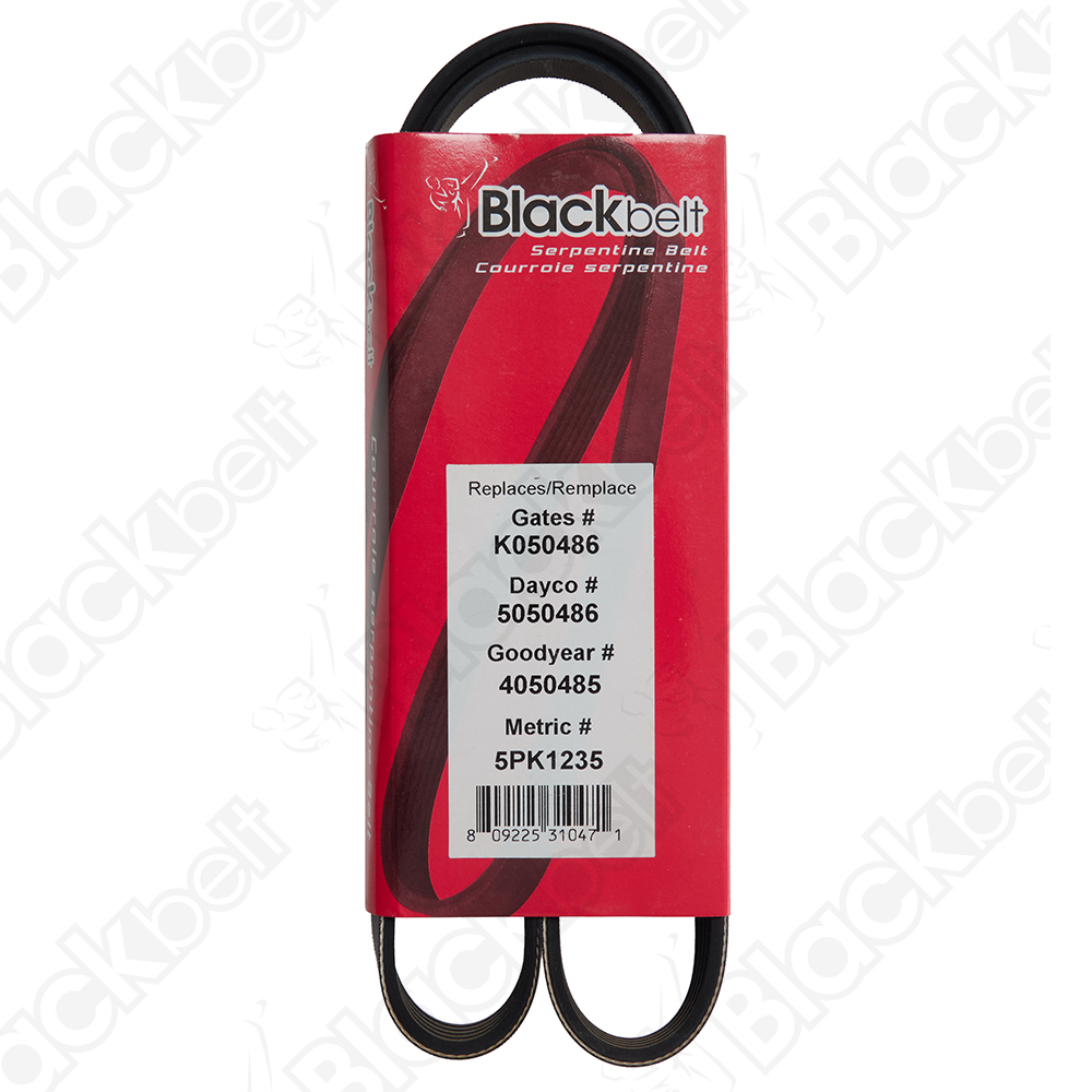 COURROIE SERPENTINE BLACK BELT