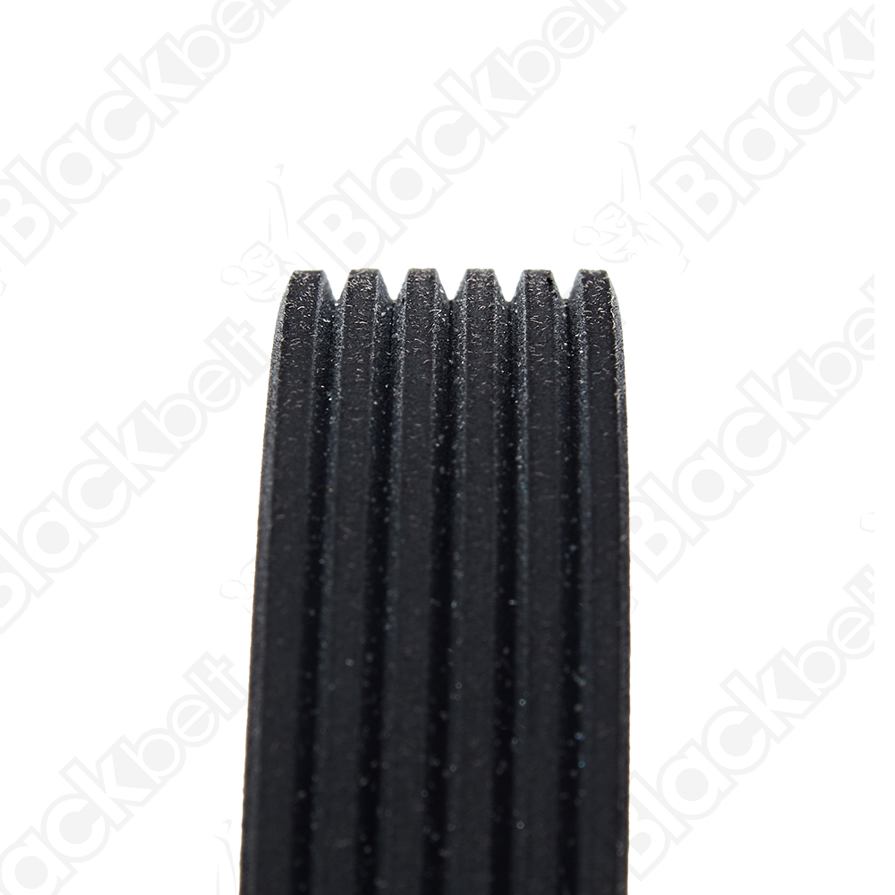 COURROIE SERPENTINE BLACK BELT