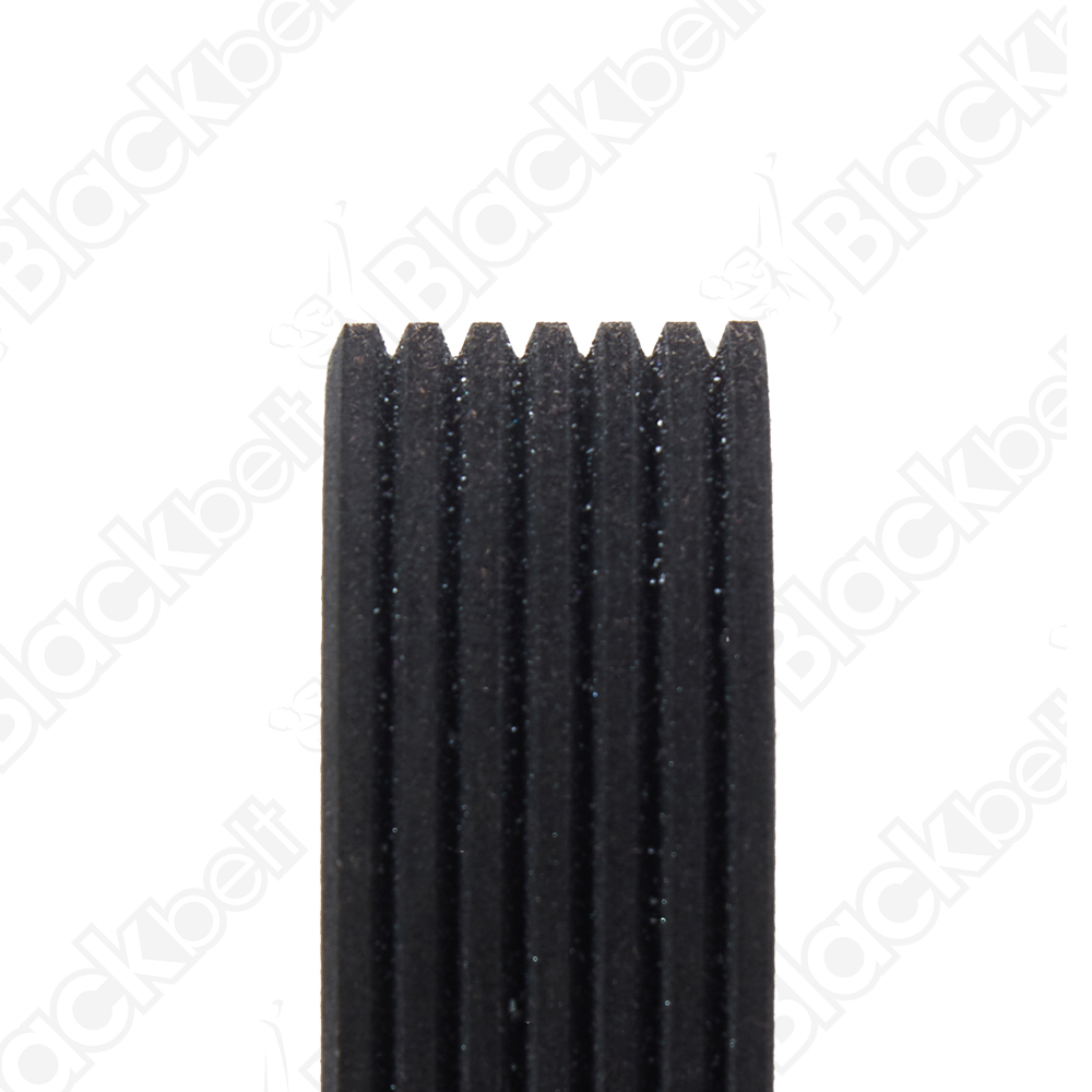 BLACKBELT SERPENTINE BELT - 2
