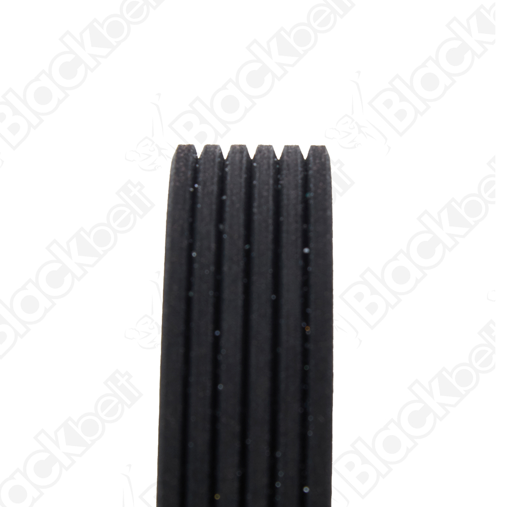 COURROIE SERPENTINE BLACK BELT