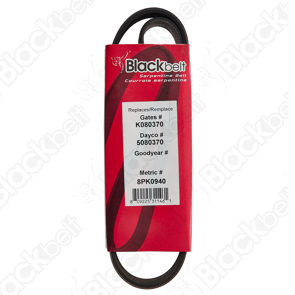 COURROIE SERPENTINE BLACK BELT