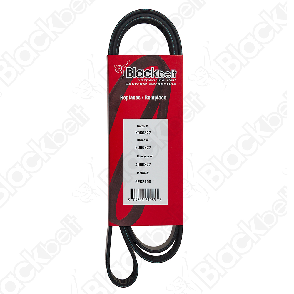 COURROIE SERPENTINE BLACK BELT