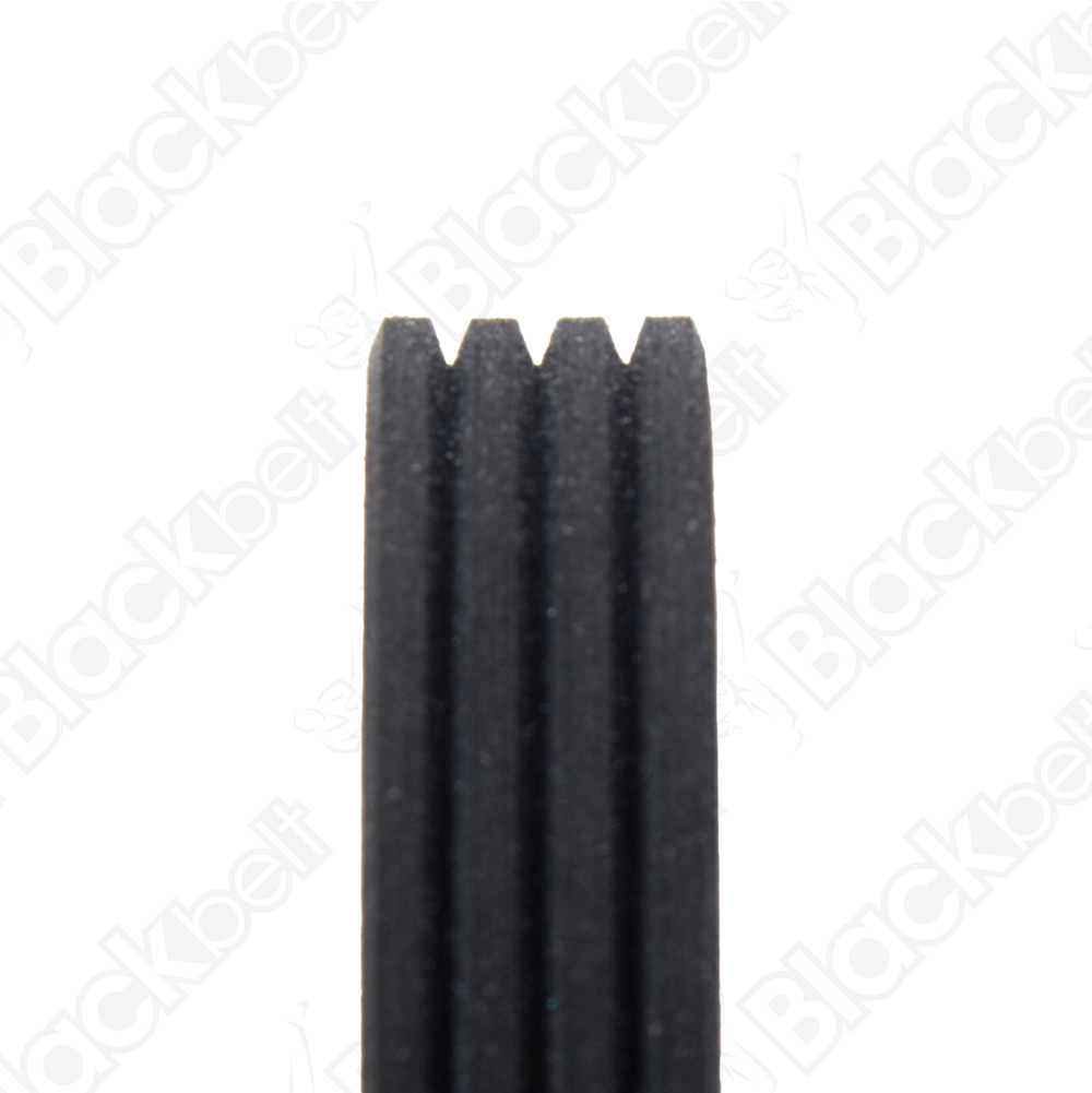 COURROIE SERPENTINE BLACK BELT - 2