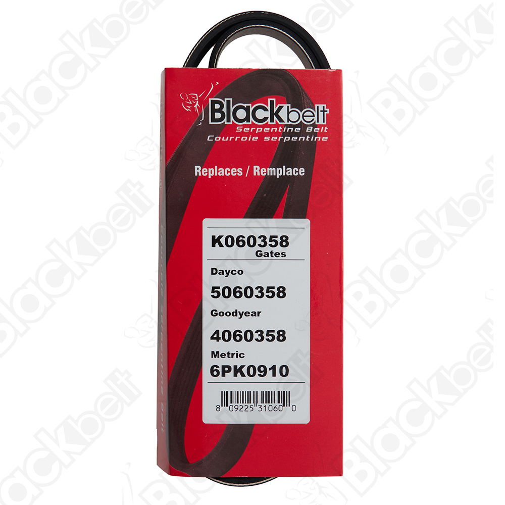 COURROIE SERPENTINE BLACK BELT