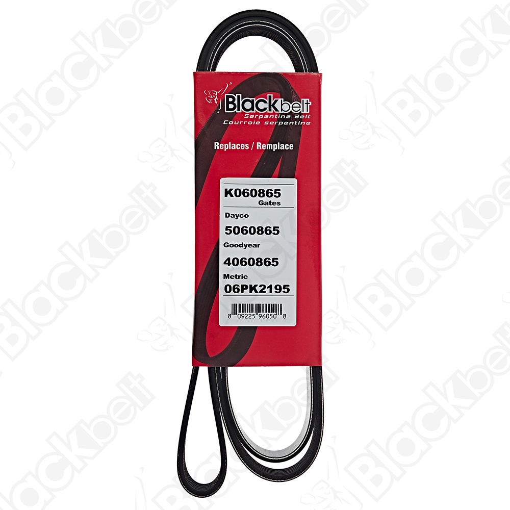 COURROIE SERPENTINE BLACK BELT - 2