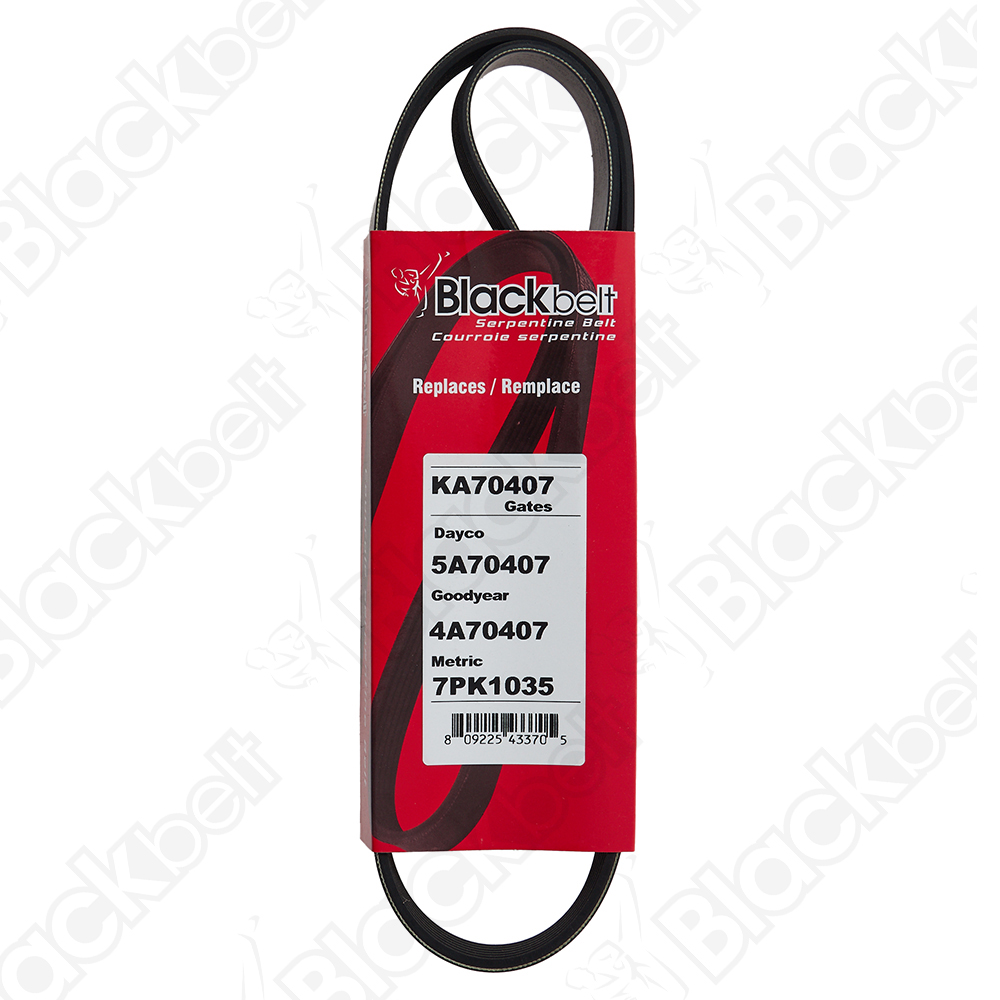 BLACKBELT SERPENTINE BELT