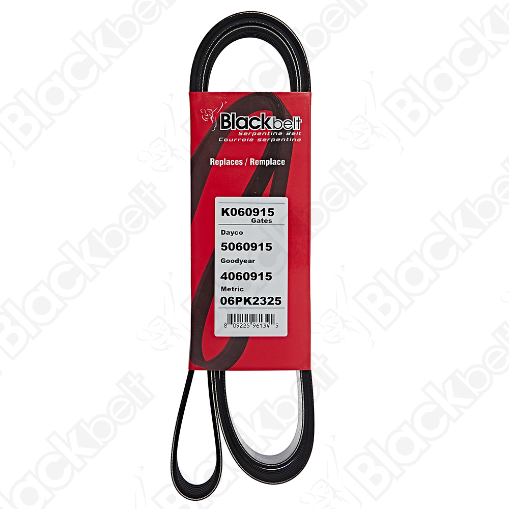 COURROIE SERPENTINE BLACK BELT - 2