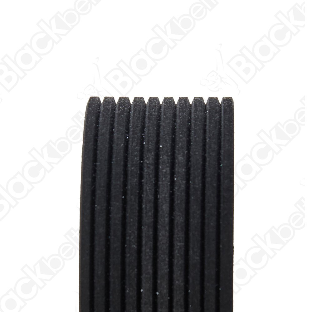 BLACKBELT SERPENTINE BELT