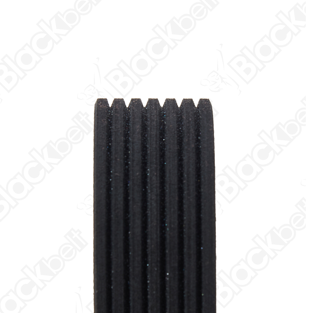 BLACKBELT SERPENTINE BELT