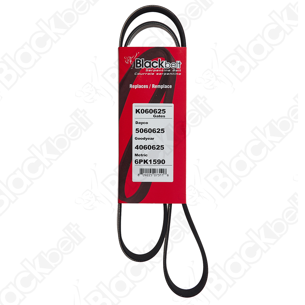 COURROIE SERPENTINE BLACK BELT