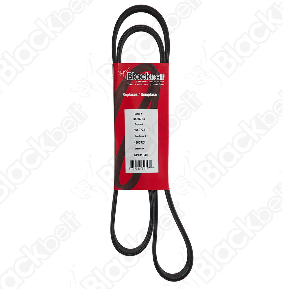 COURROIE SERPENTINE BLACK BELT - 2