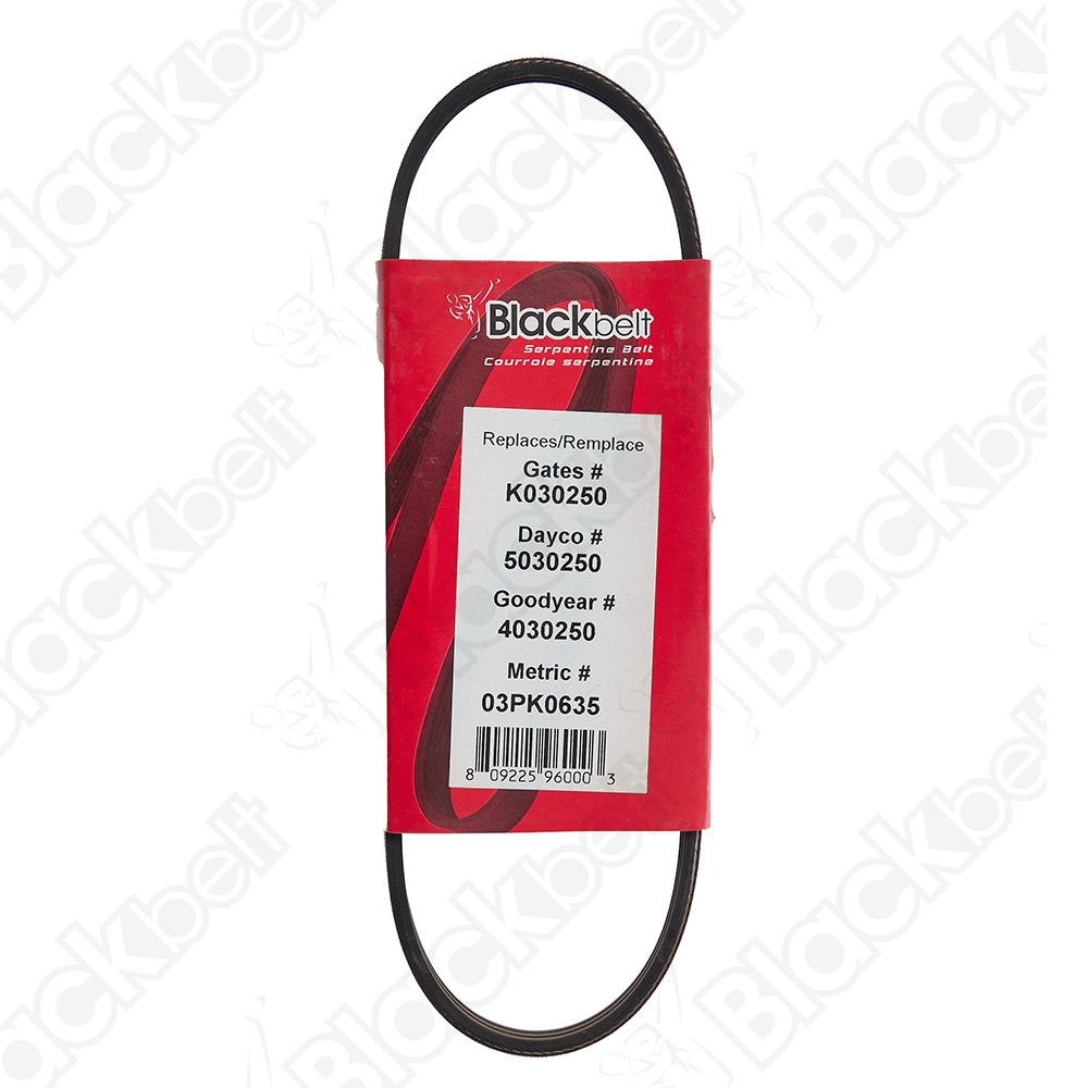 BLACKBELT SERPENTINE BELT - 2