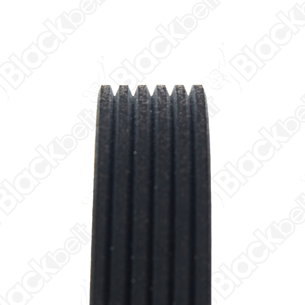 COURROIE SERPENTINE BLACK BELT - 2