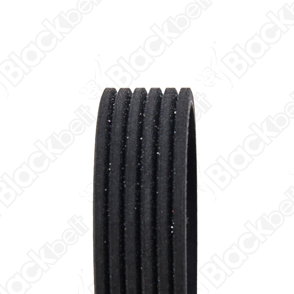 COURROIE SERPENTINE BLACK BELT - 2