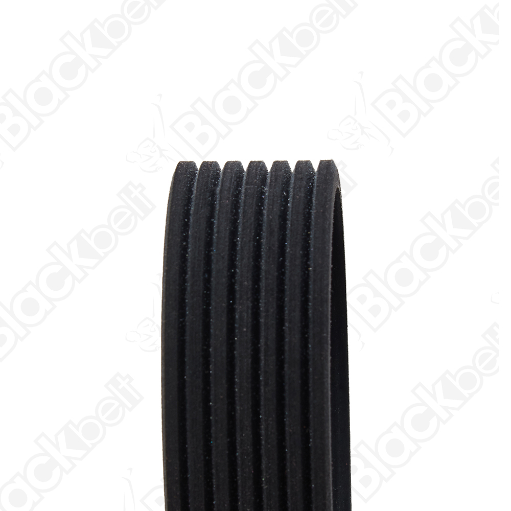 COURROIE SERPENTINE BLACK BELT