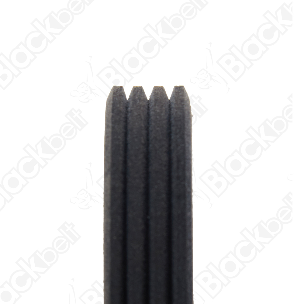 BLACKBELT SERPENTINE BELT - 2