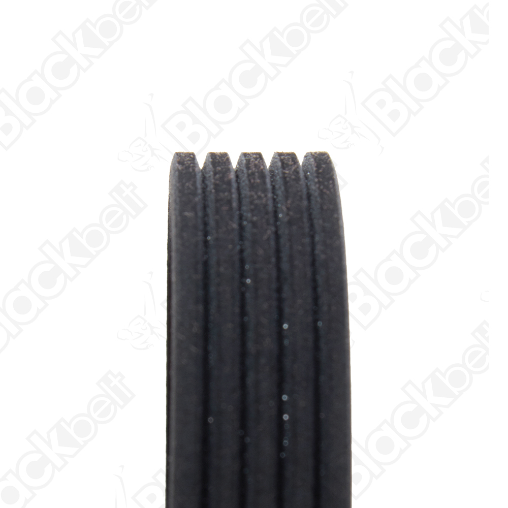 COURROIE SERPENTINE BLACK BELT - 2