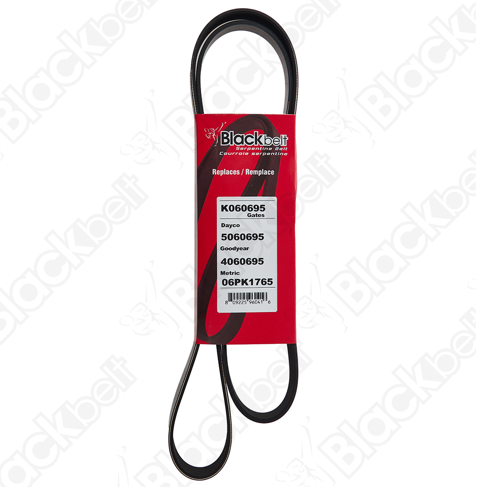 COURROIE SERPENTINE BLACK BELT - 2