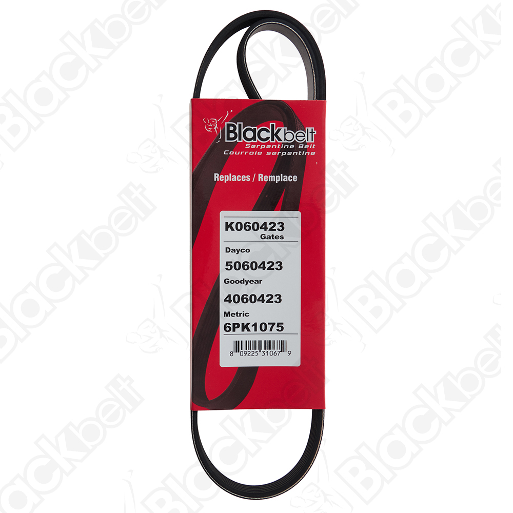 COURROIE SERPENTINE BLACK BELT - 2