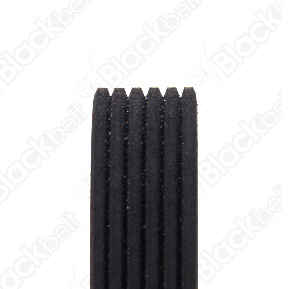 BLACKBELT SERPENTINE BELT - 2