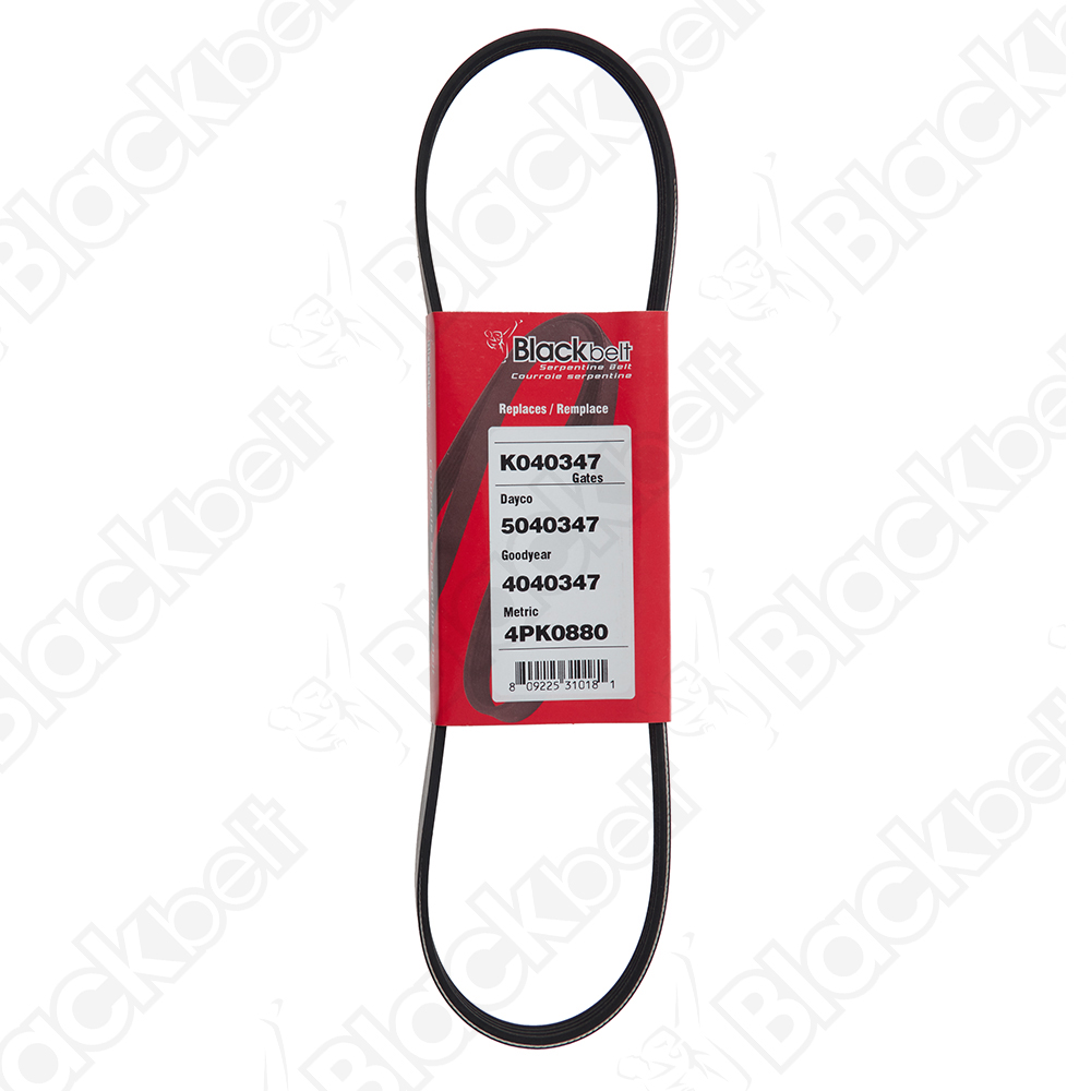 BLACKBELT SERPENTINE BELT - 2