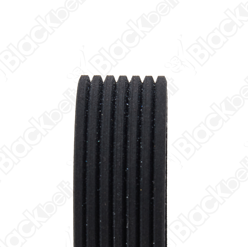 COURROIE SERPENTINE BLACK BELT - 2