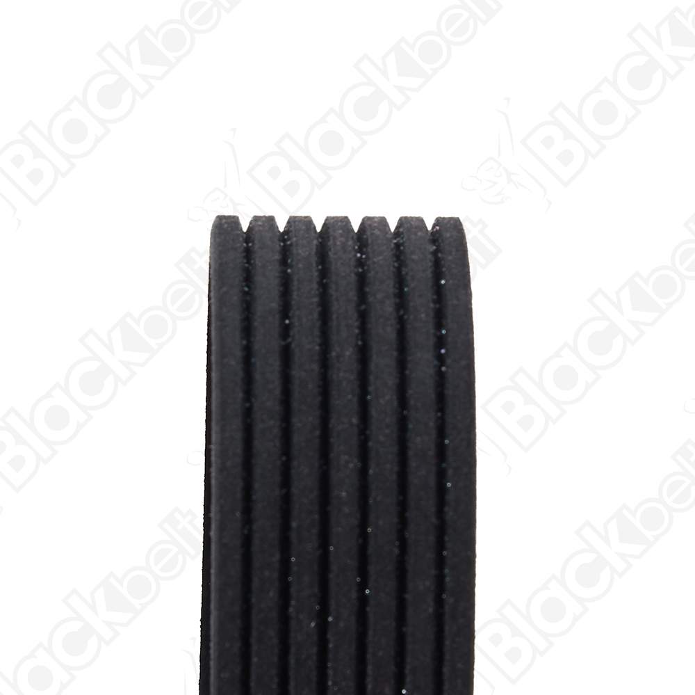 COURROIE SERPENTINE BLACK BELT