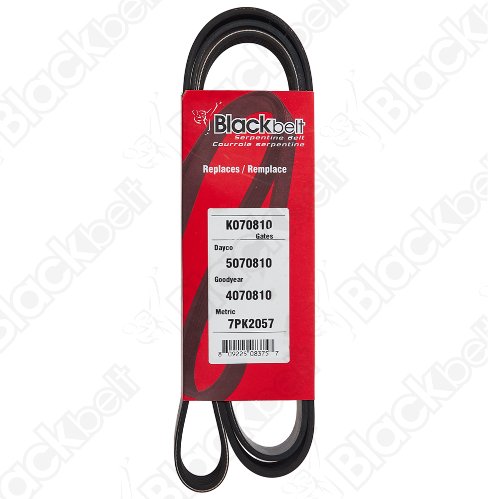 BLACKBELT SERPENTINE BELT - 2