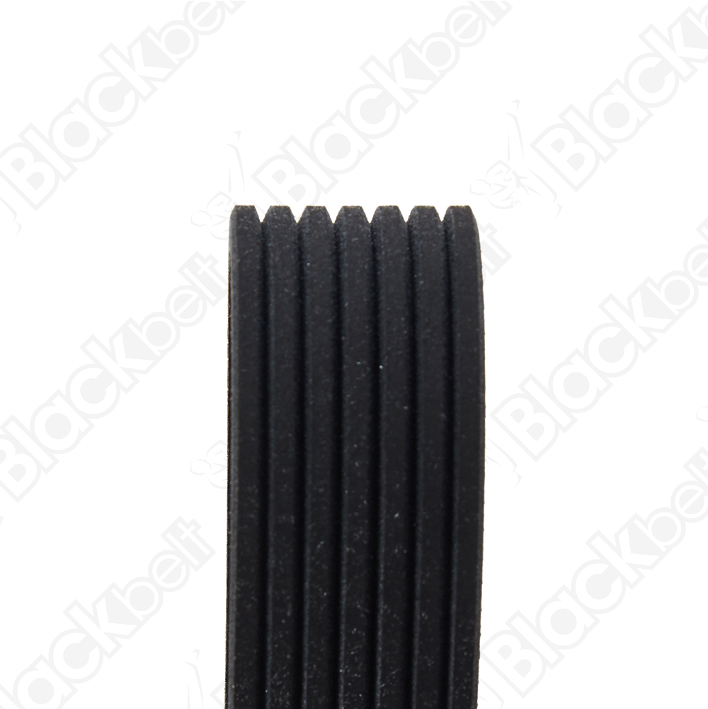 BLACKBELT SERPENTINE BELT