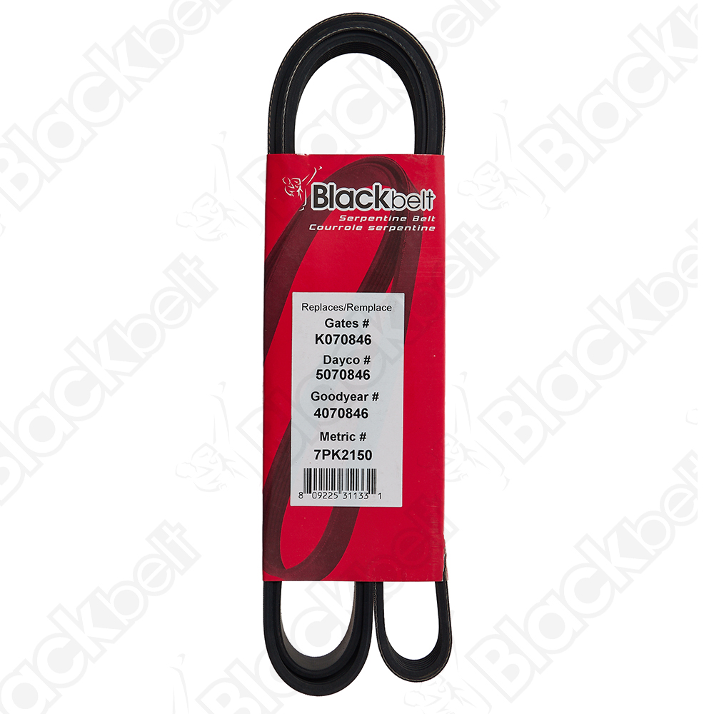 BLACKBELT SERPENTINE BELT