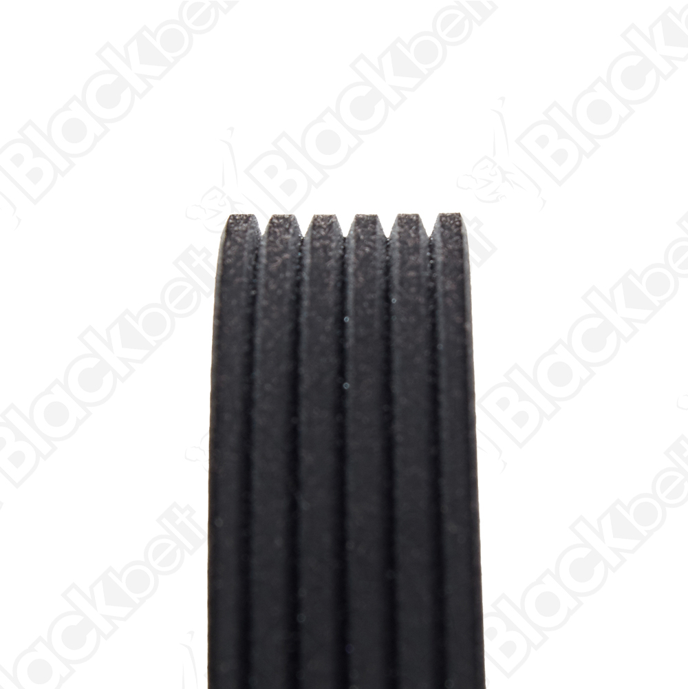 COURROIE SERPENTINE BLACK BELT