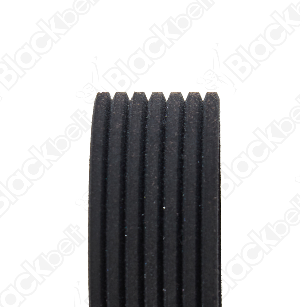 BLACKBELT SERPENTINE BELT