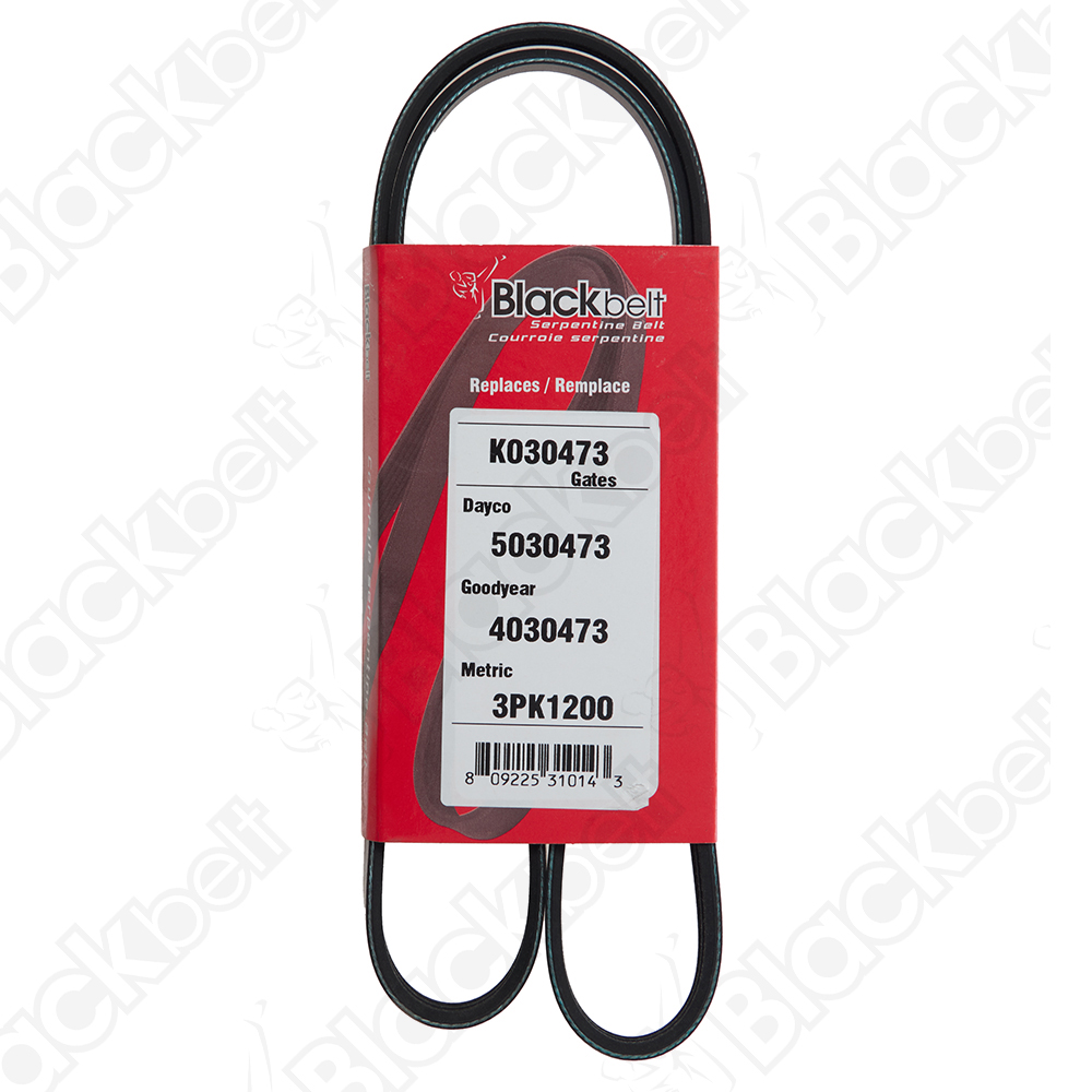 BLACKBELT SERPENTINE BELT - 2