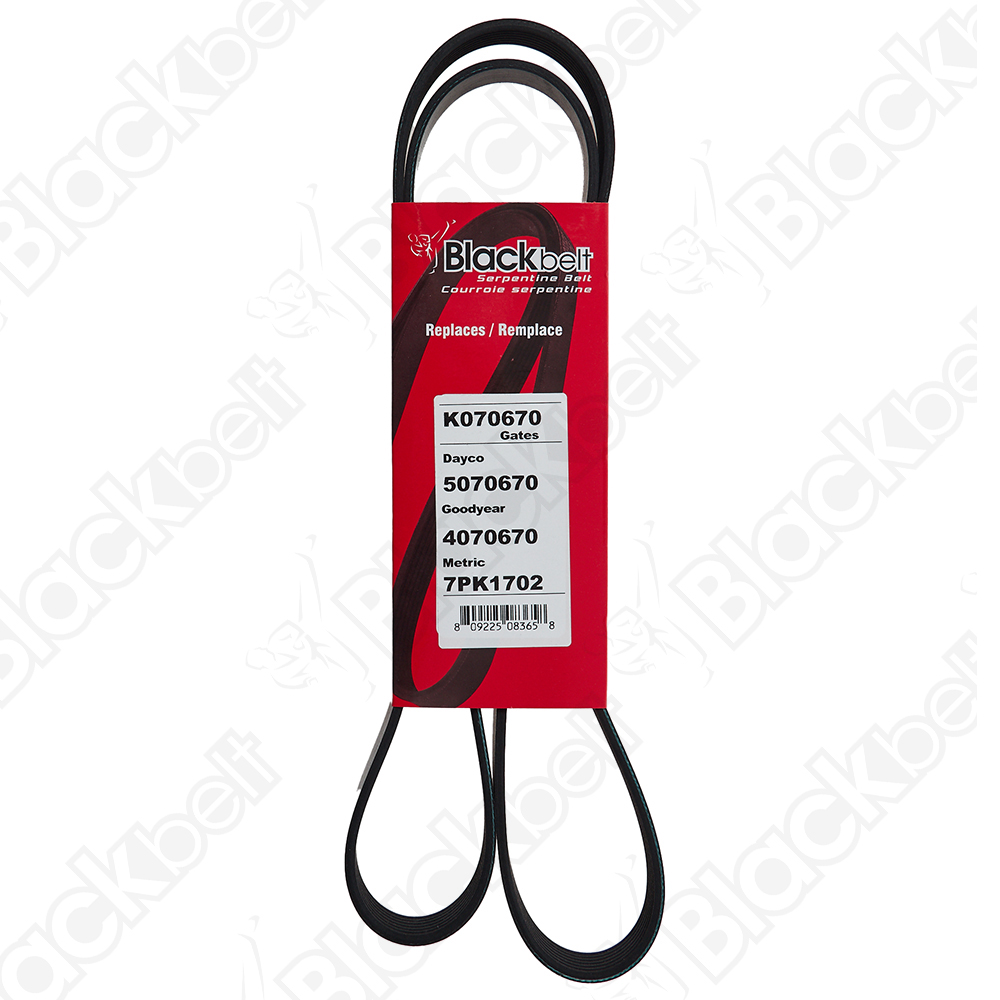 BLACKBELT SERPENTINE BELT - 2