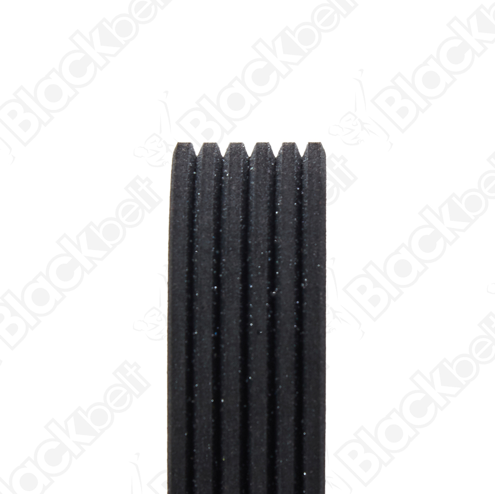 COURROIE SERPENTINE BLACK BELT