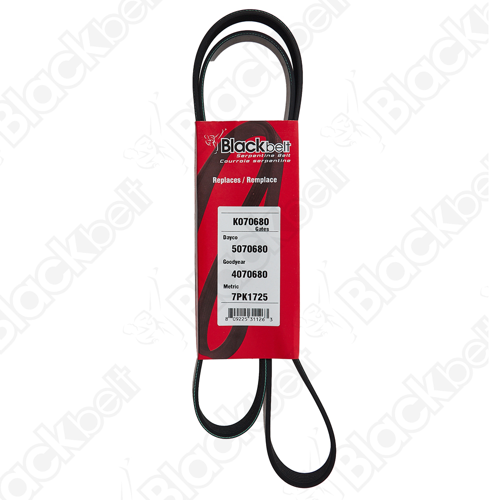 BLACKBELT SERPENTINE BELT - 2