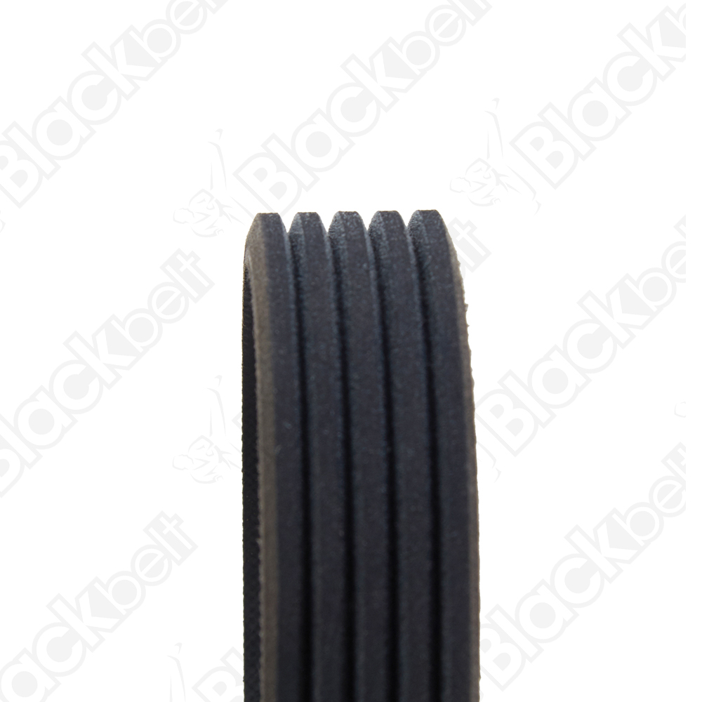 COURROIE SERPENTINE BLACK BELT