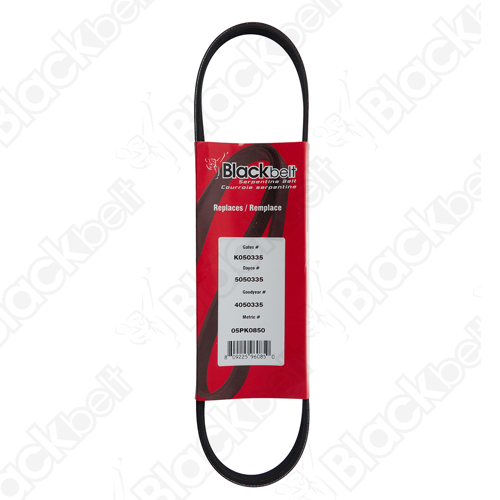 COURROIE SERPENTINE BLACK BELT