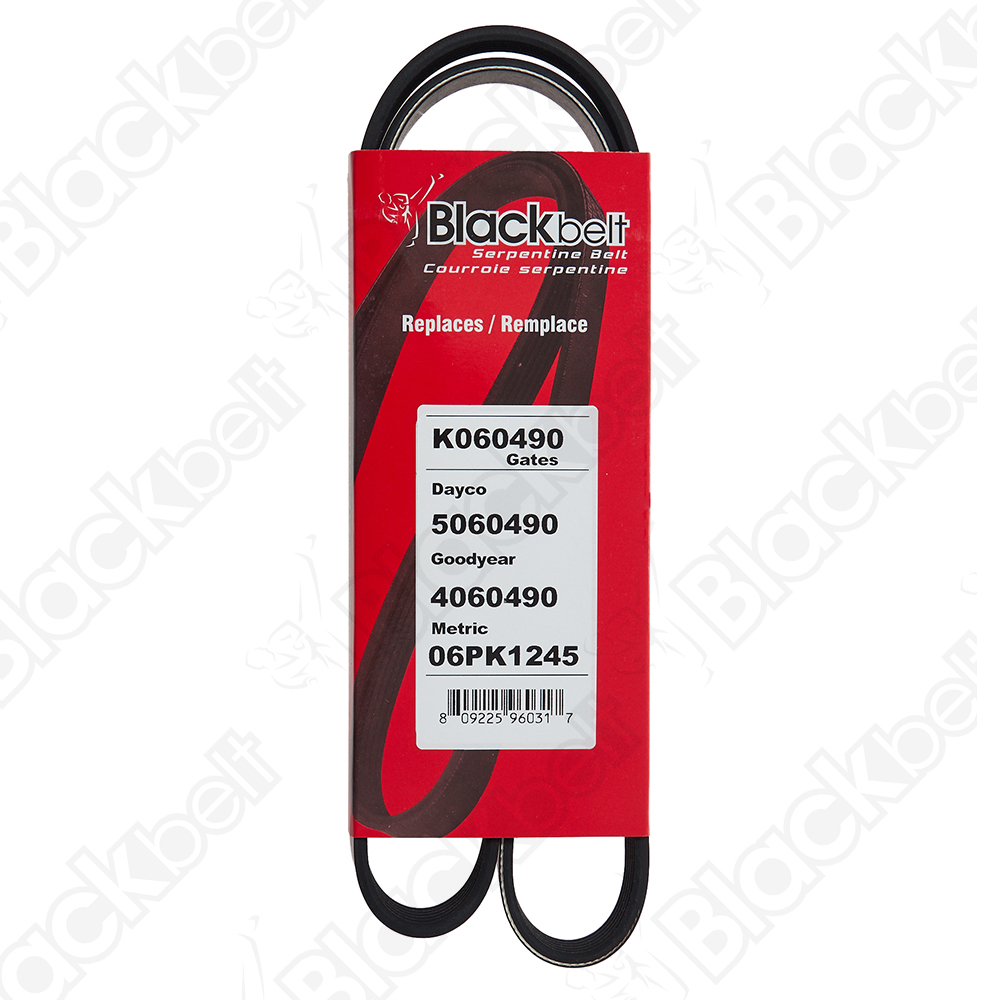COURROIE SERPENTINE BLACK BELT