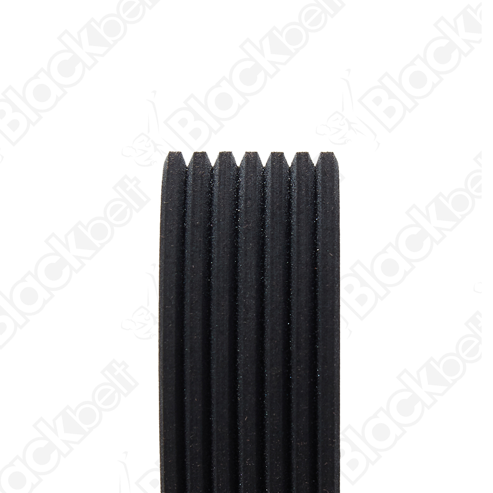 COURROIE SERPENTINE BLACK BELT - 2