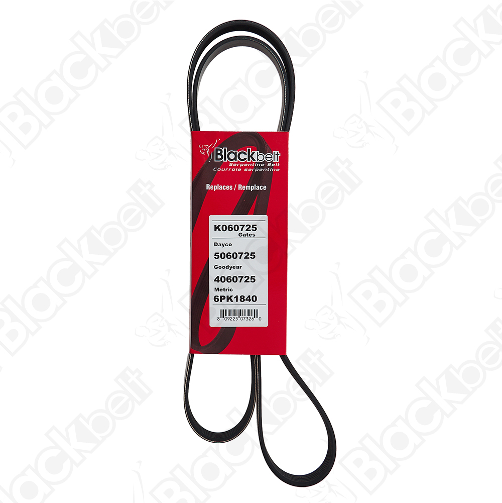 BLACKBELT SERPENTINE BELT
