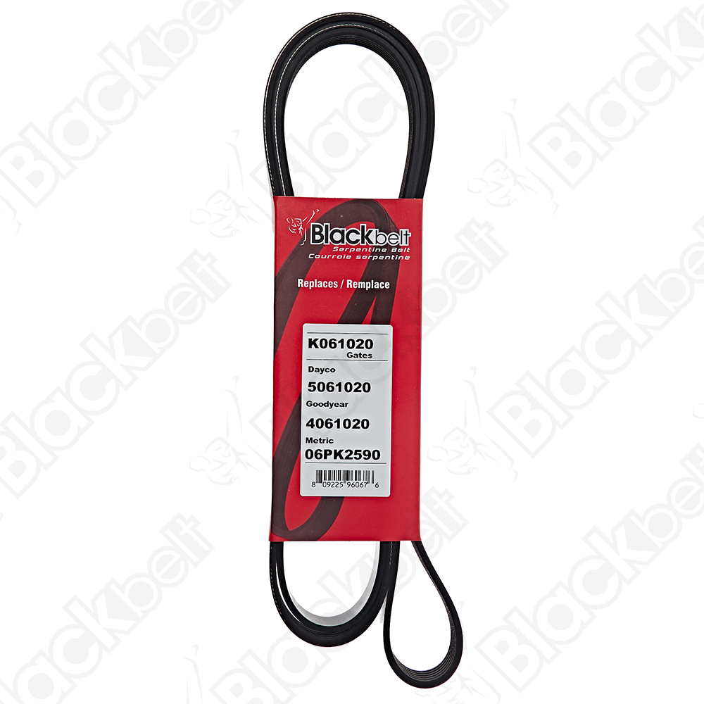 COURROIE SERPENTINE BLACK BELT - 2