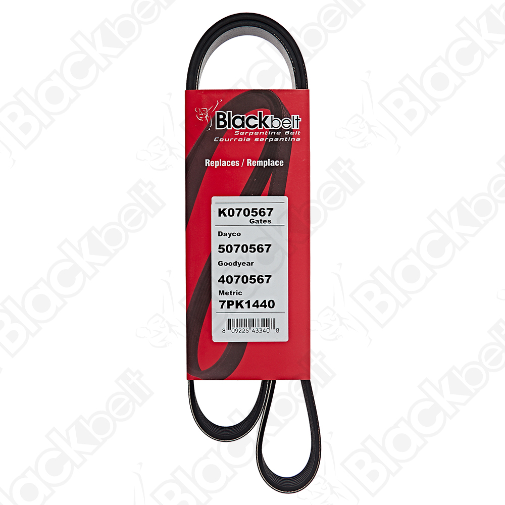 BLACKBELT SERPENTINE BELT