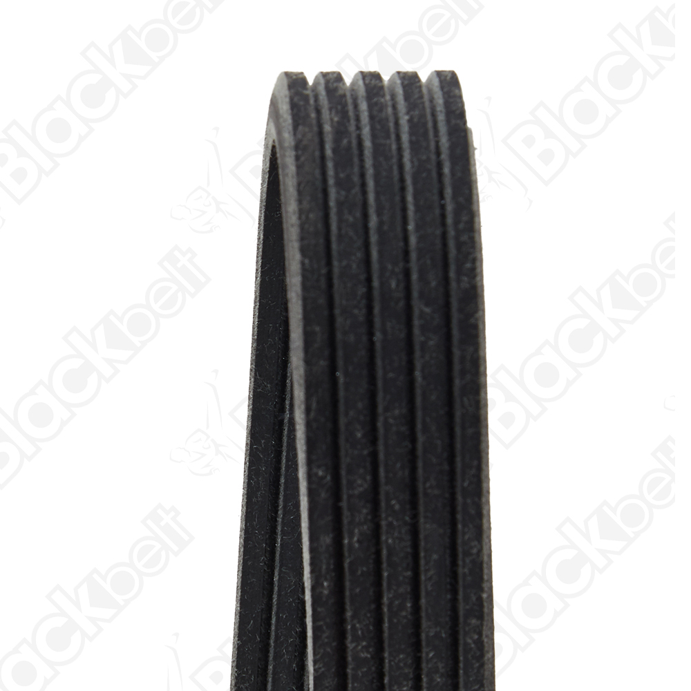 COURROIE SERPENTINE BLACK BELT - 2