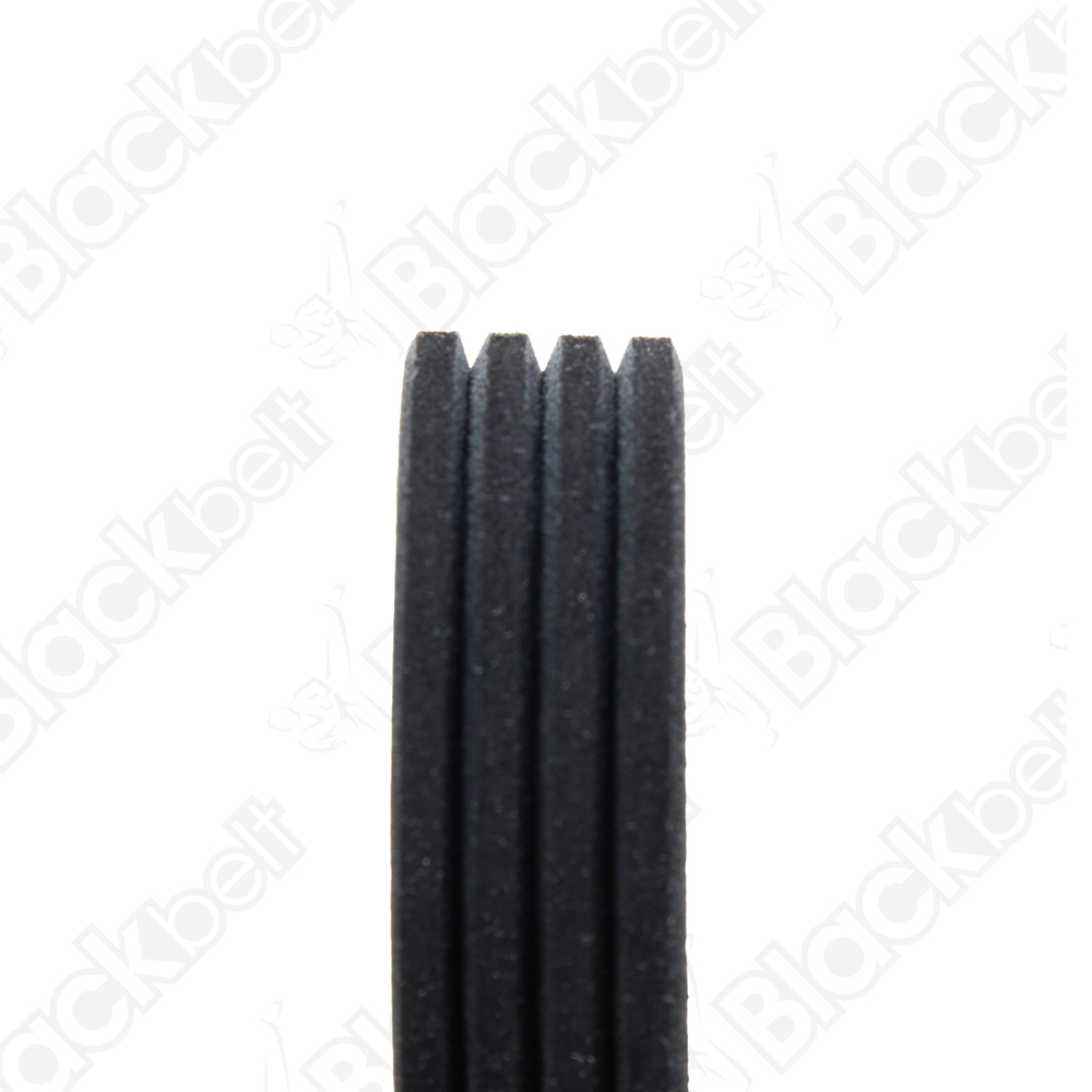 COURROIE SERPENTINE BLACK BELT