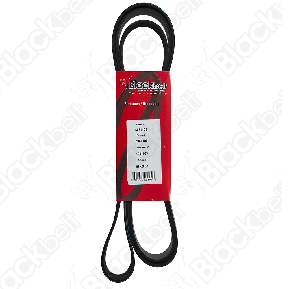 BLACKBELT SERPENTINE BELT
