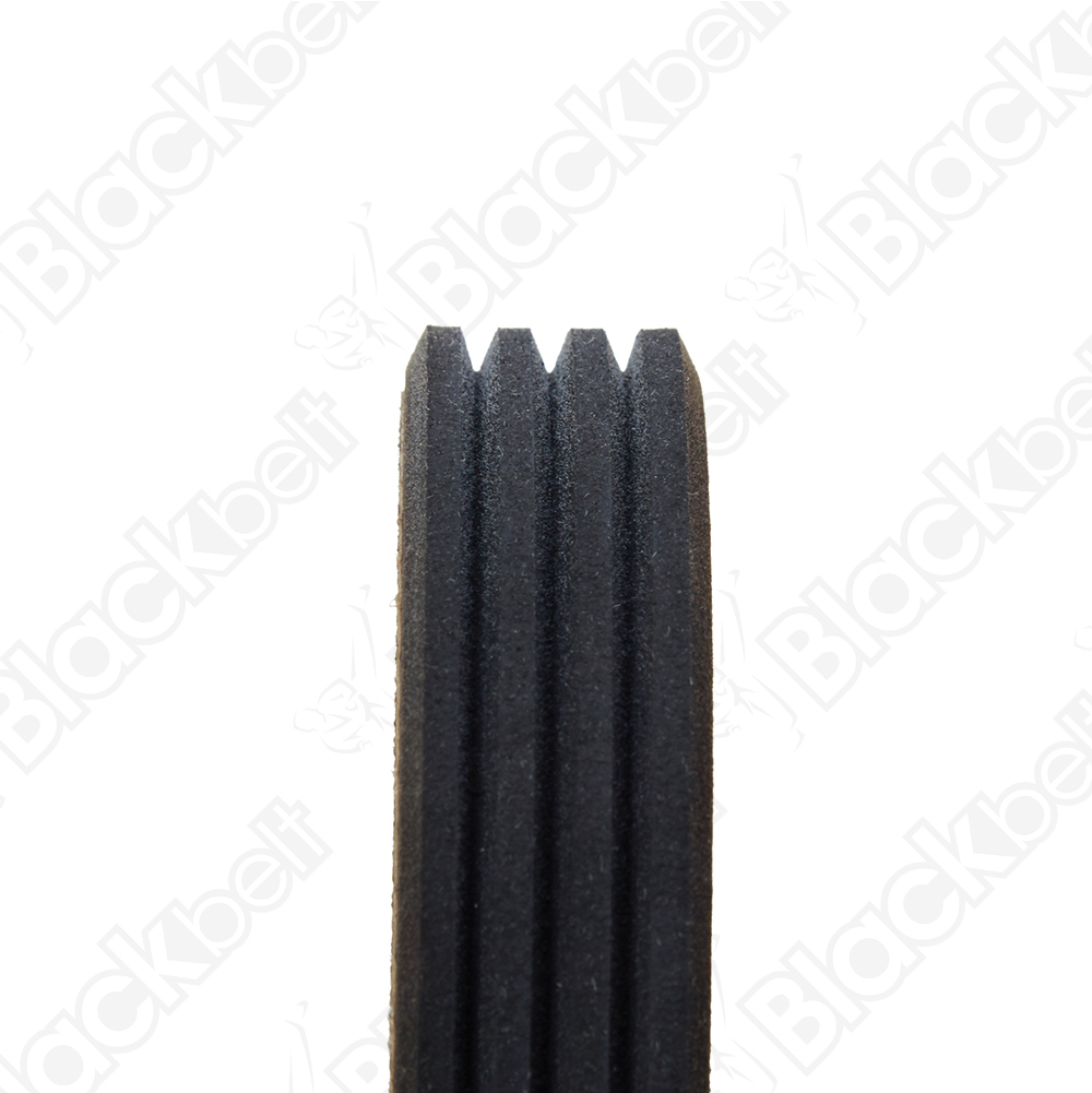COURROIE SERPENTINE BLACK BELT