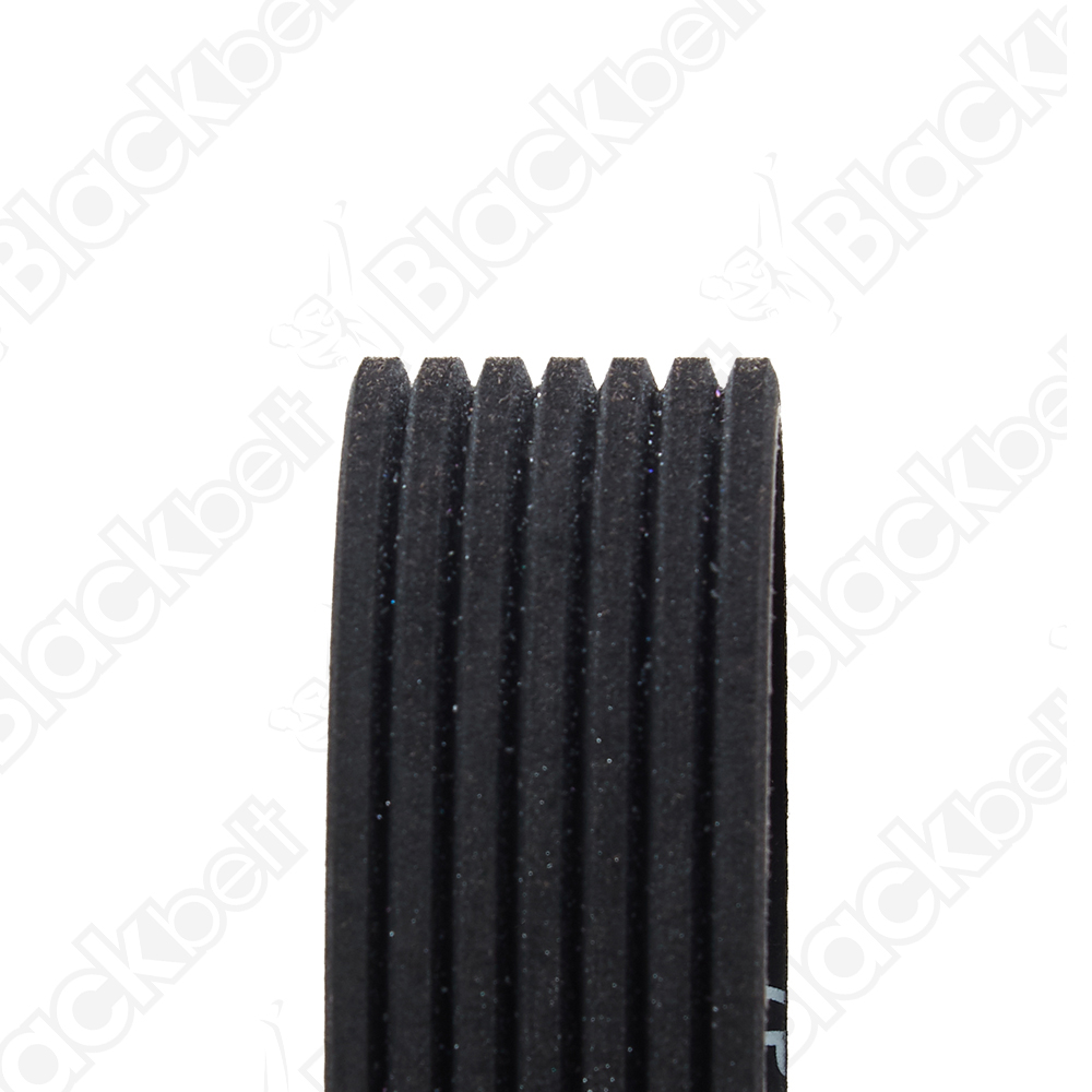 BLACKBELT SERPENTINE BELT